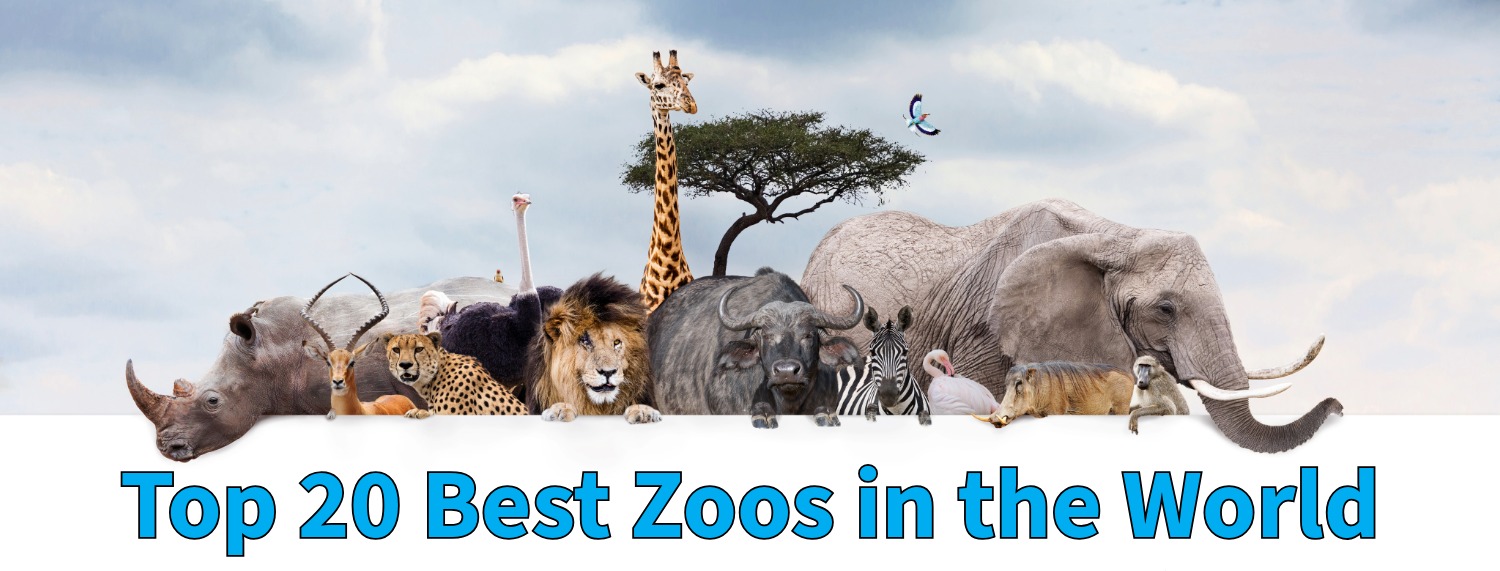 You are currently viewing ​Top 20 Best Zoos in the World 2026 Ultimate Global Ranking